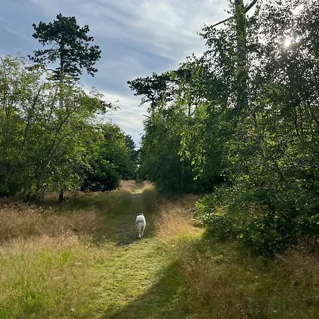 Prázdninový dům Family Summer House Near Plantation And Beaches Højby